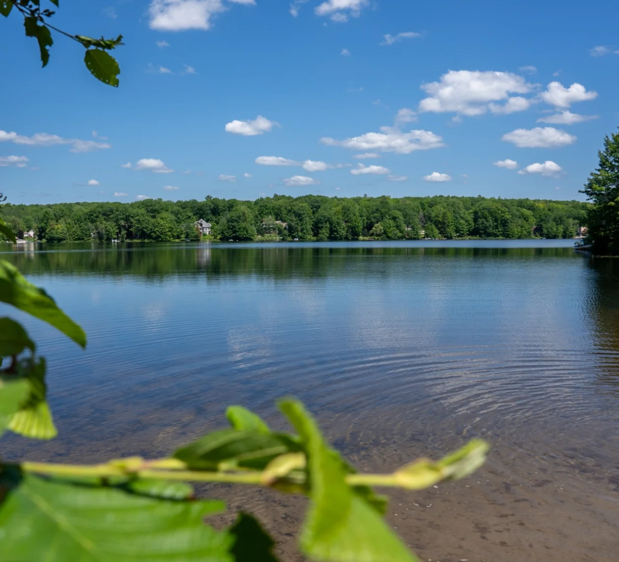 Sainte-Julienne, une ville à découvrir